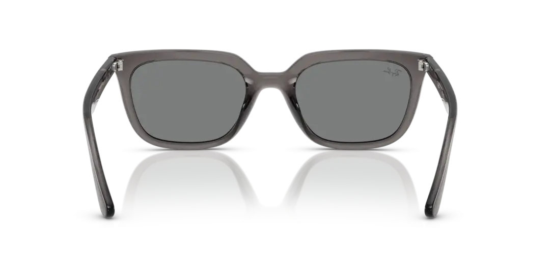 Ray-Ban 0RB4439D 667587