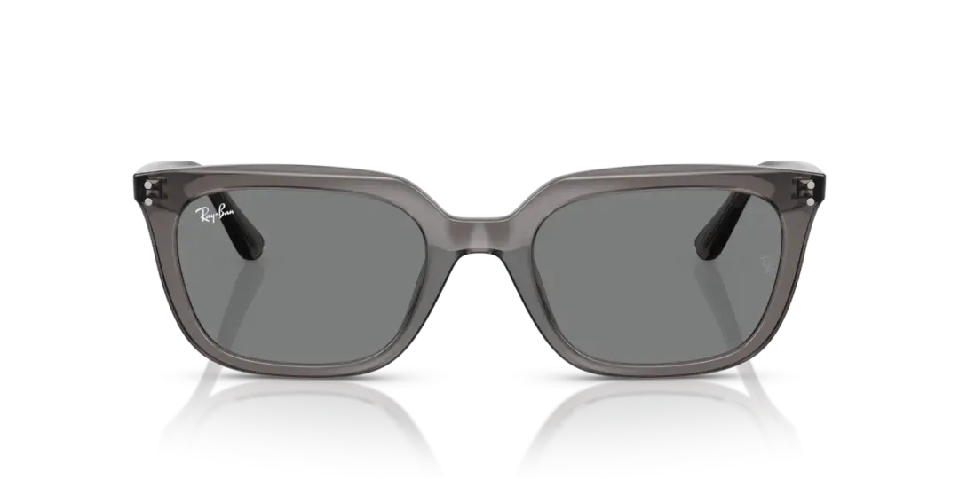 Ray-Ban 0RB4439D 667587