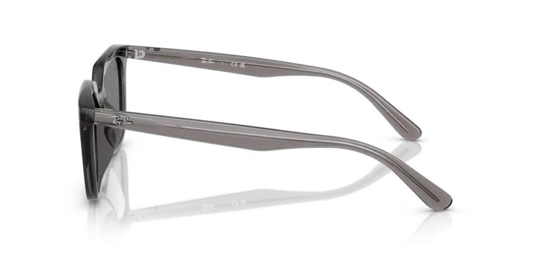 Ray-Ban 0RB4439D 667587