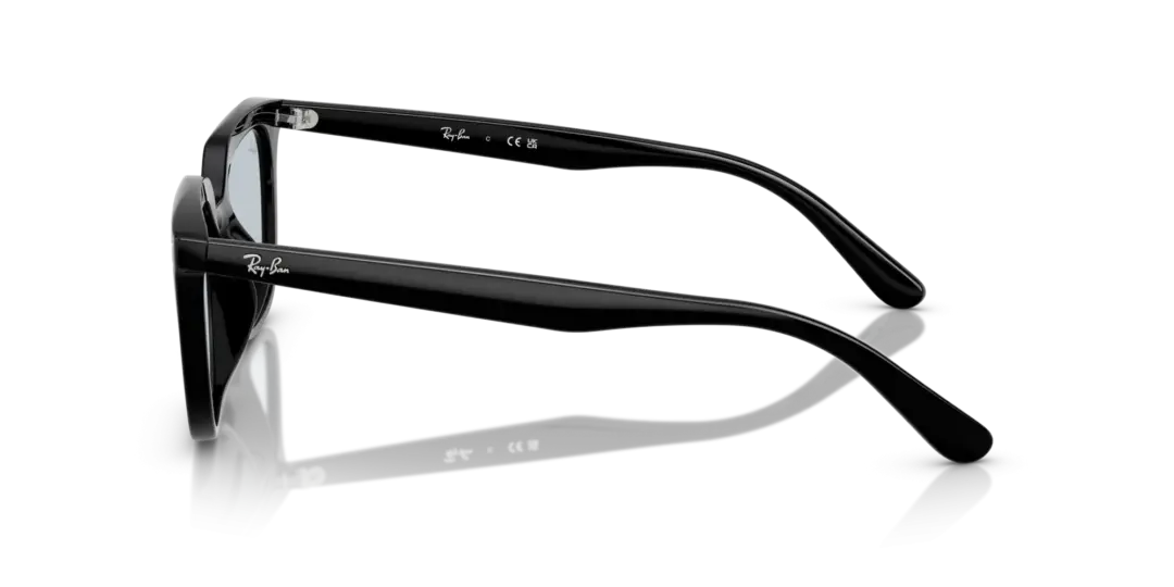 Ray-Ban 0RB4439D 901/72