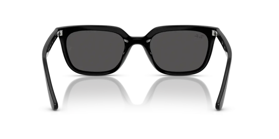 Ray-Ban 0RB4439D 901/87