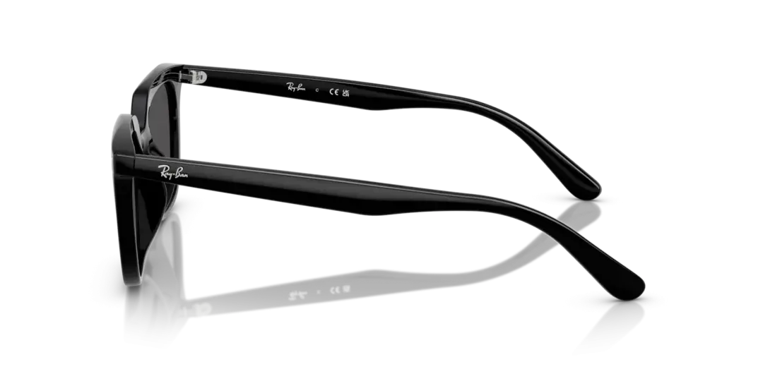 Ray-Ban 0RB4439D 901/87