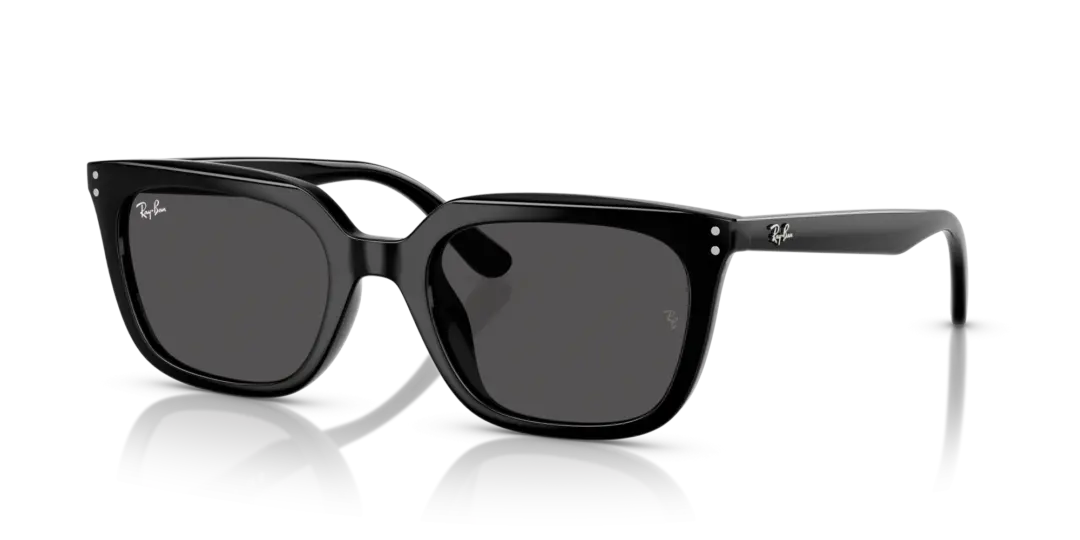 Ray-Ban 0RB4439D 901/87