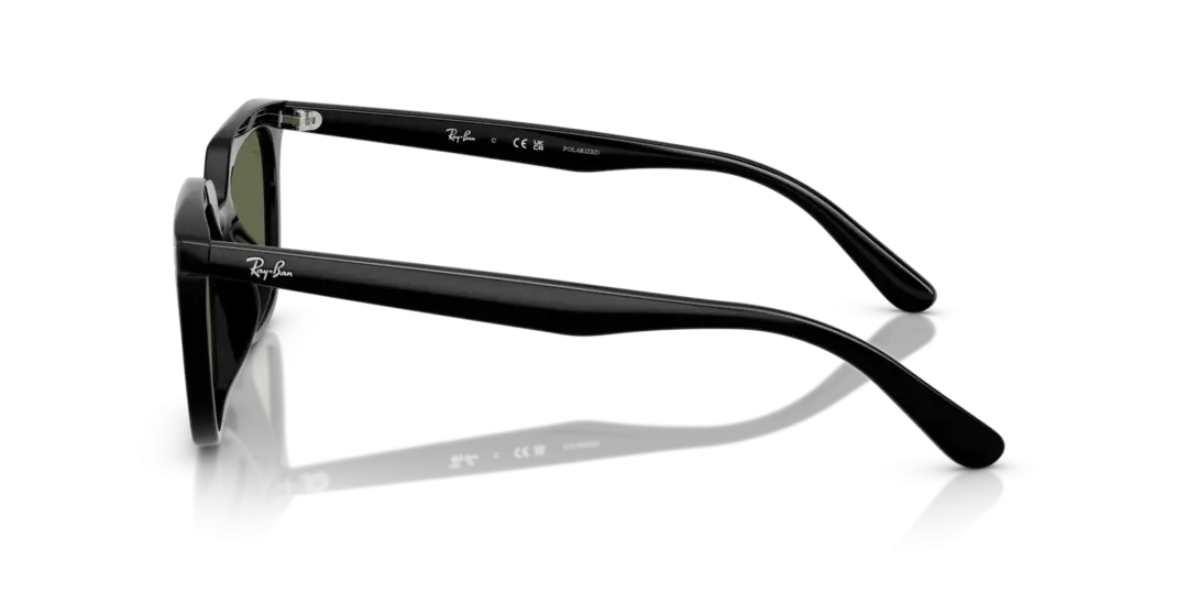 Ray-Ban 0RB4439D 901/9A