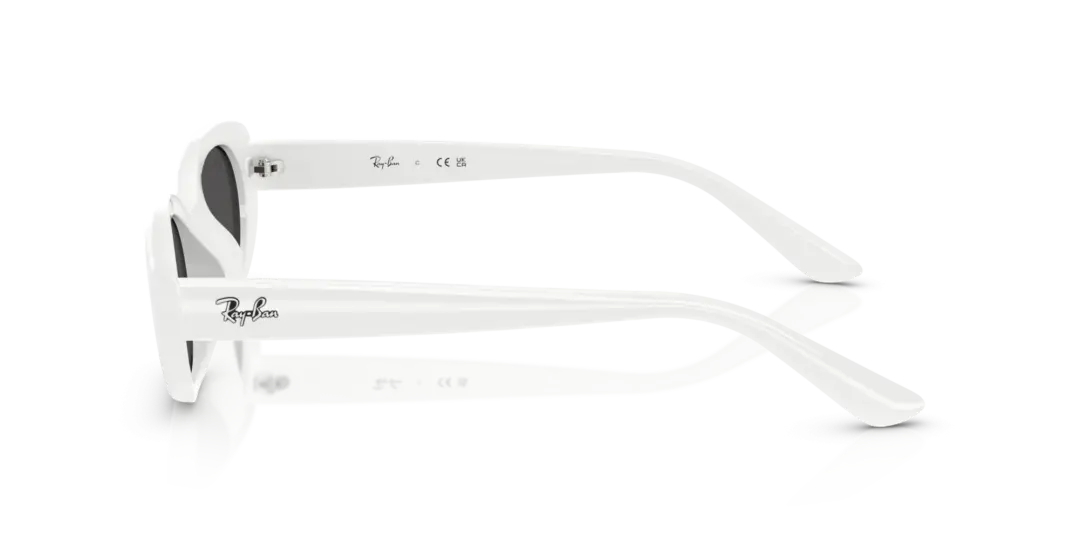 Ray-Ban 0RB4441D 677287