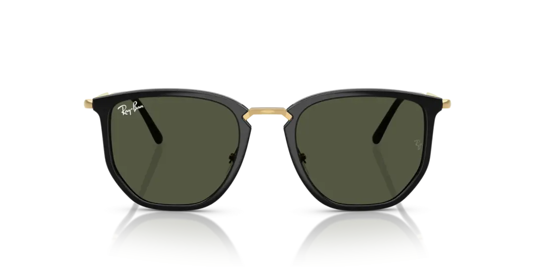 Ray-Ban 0RB4451 630631