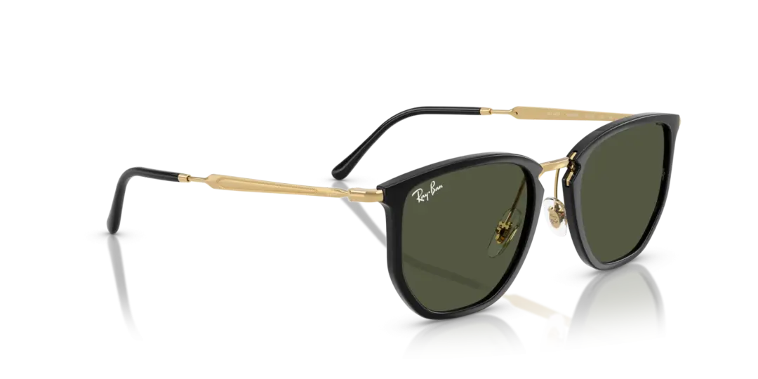 Ray-Ban 0RB4451 630631