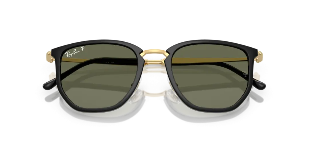 Ray-Ban 0RB4451 630658