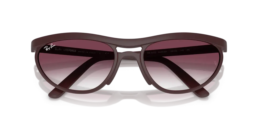 Ray-Ban 0RB4453 64458H