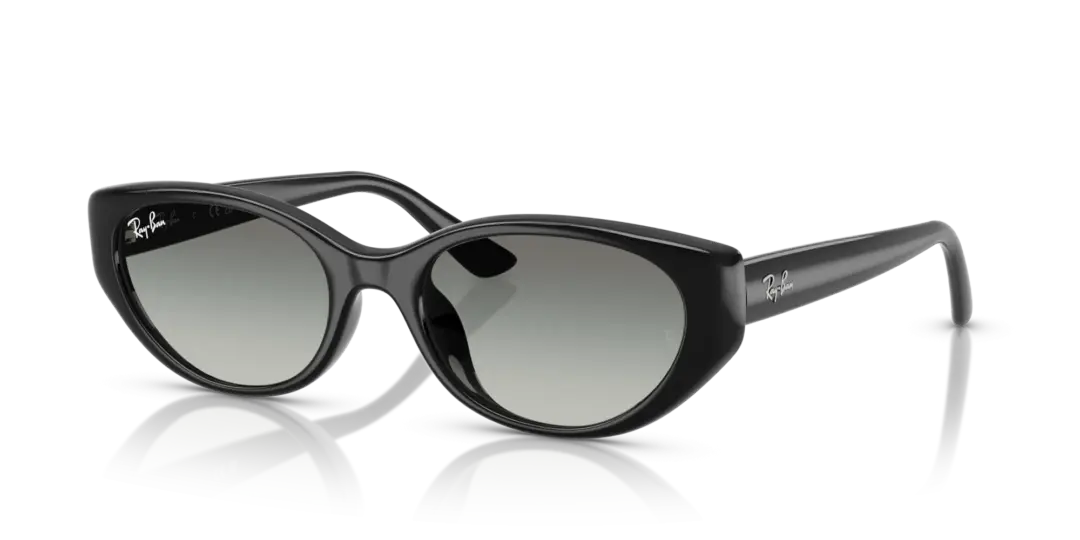 Ray-Ban 0RB4457D 667711