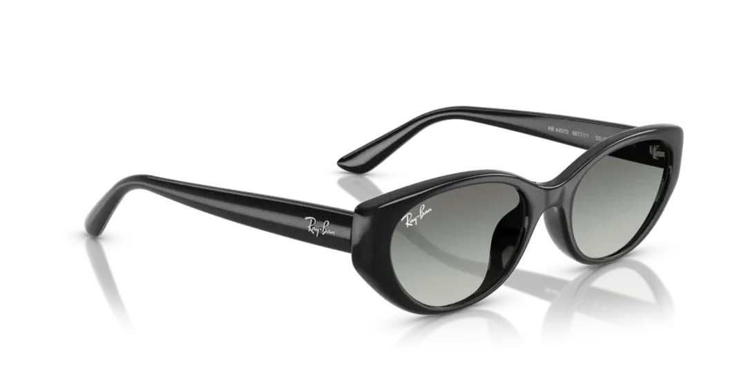 Ray-Ban 0RB4457D 667711