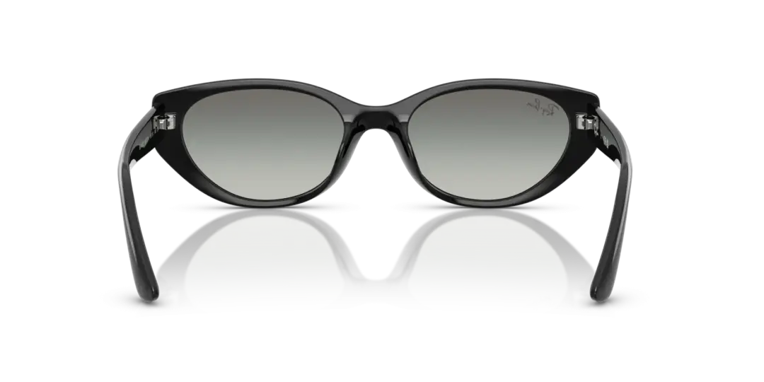 Ray-Ban 0RB4457D 667711