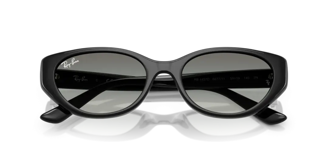 Ray-Ban 0RB4457D 667711