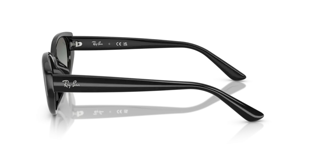 Ray-Ban 0RB4457D 667711