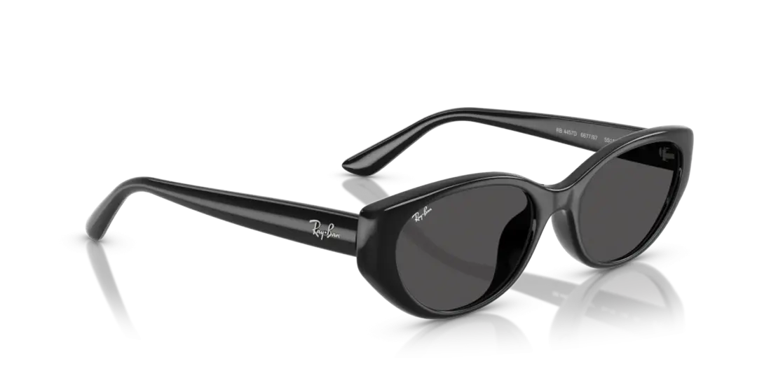 Ray-Ban 0RB4457D 667787