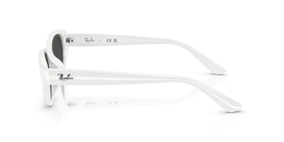 Ray-Ban 0RB4457D 677287