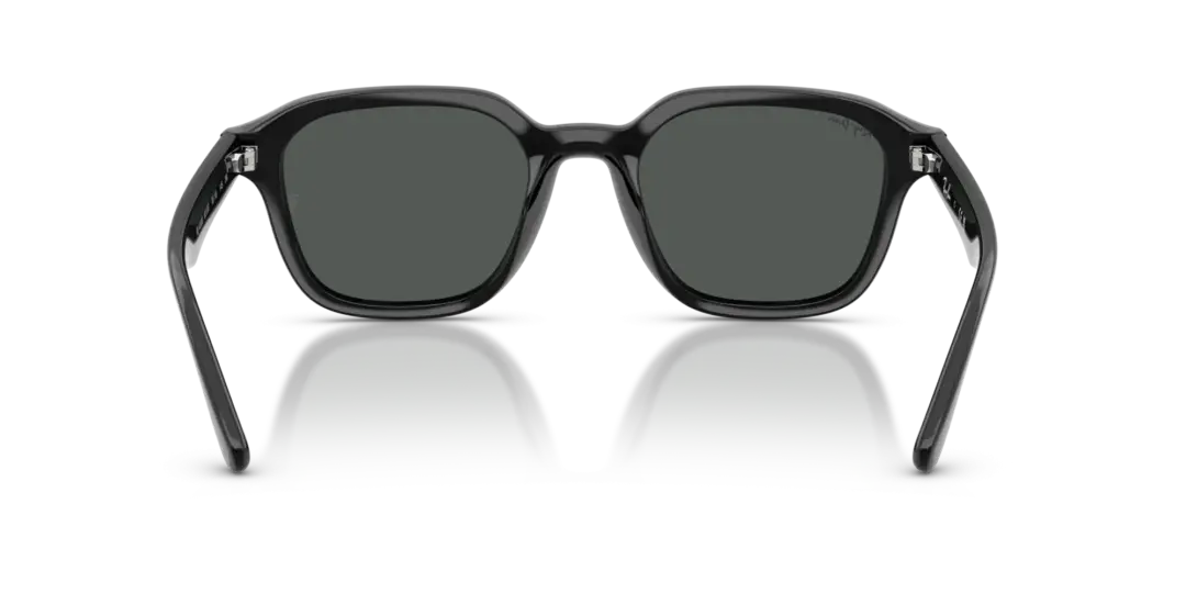 Ray-Ban 0RB4458D 601/87