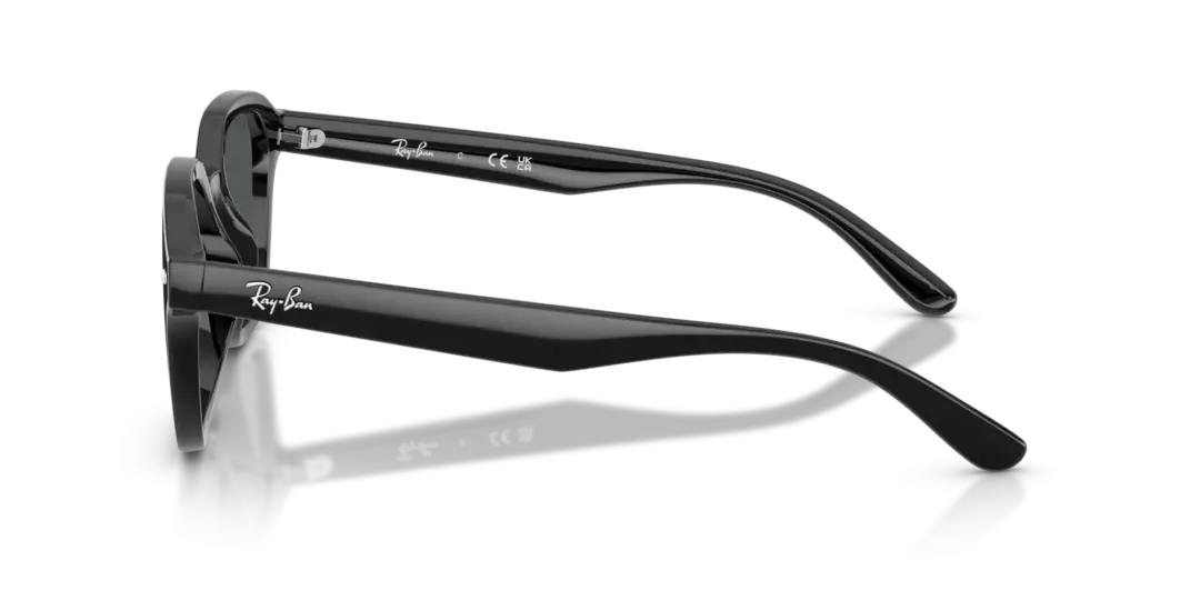 Ray-Ban 0RB4458D 601/87