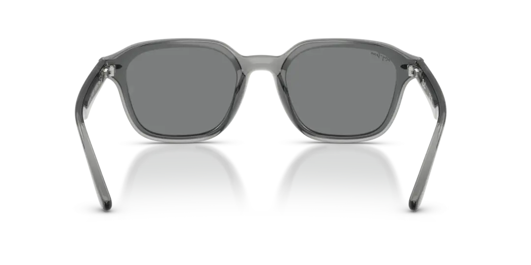 Ray-Ban 0RB4458D 645087