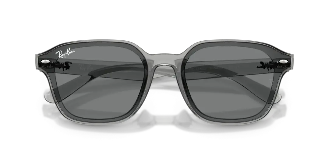 Ray-Ban 0RB4458D 645087