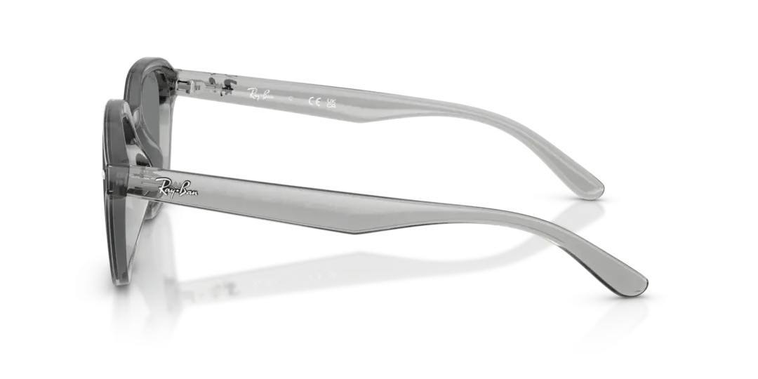 Ray-Ban 0RB4458D 645087