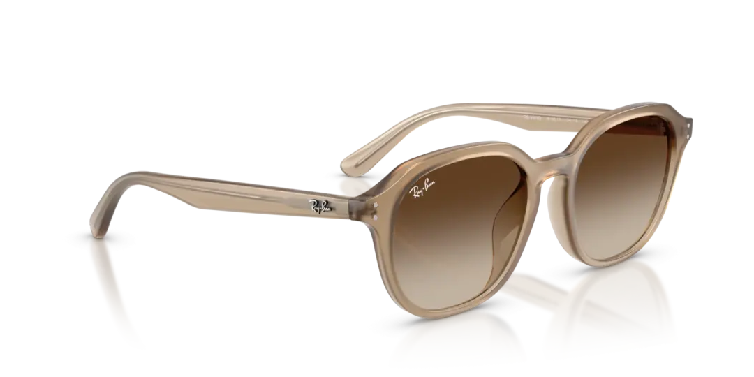 Ray-Ban 0RB4459D 616613