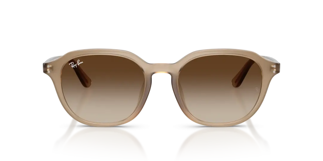 Ray-Ban 0RB4459D 616613