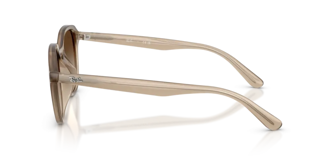 Ray-Ban 0RB4459D 616613