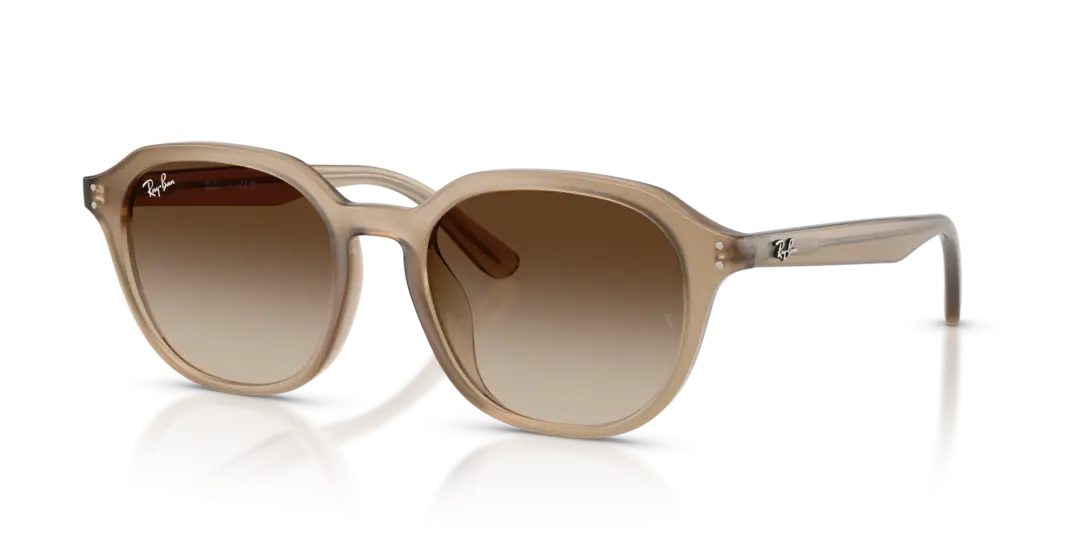Ray-Ban 0RB4459D 616613
