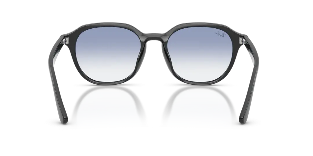 Ray-Ban 0RB4459D 623019