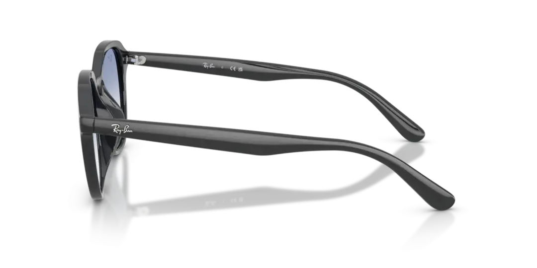 Ray-Ban 0RB4459D 623019