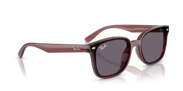 Ray-Ban 0RB4461D 659373