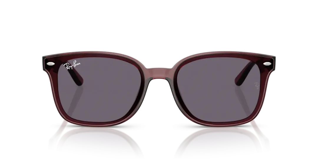 Ray-Ban 0RB4459D 659373