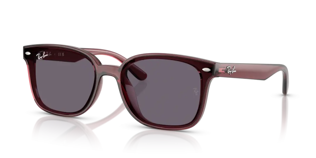 Ray-Ban 0RB4459D 659373