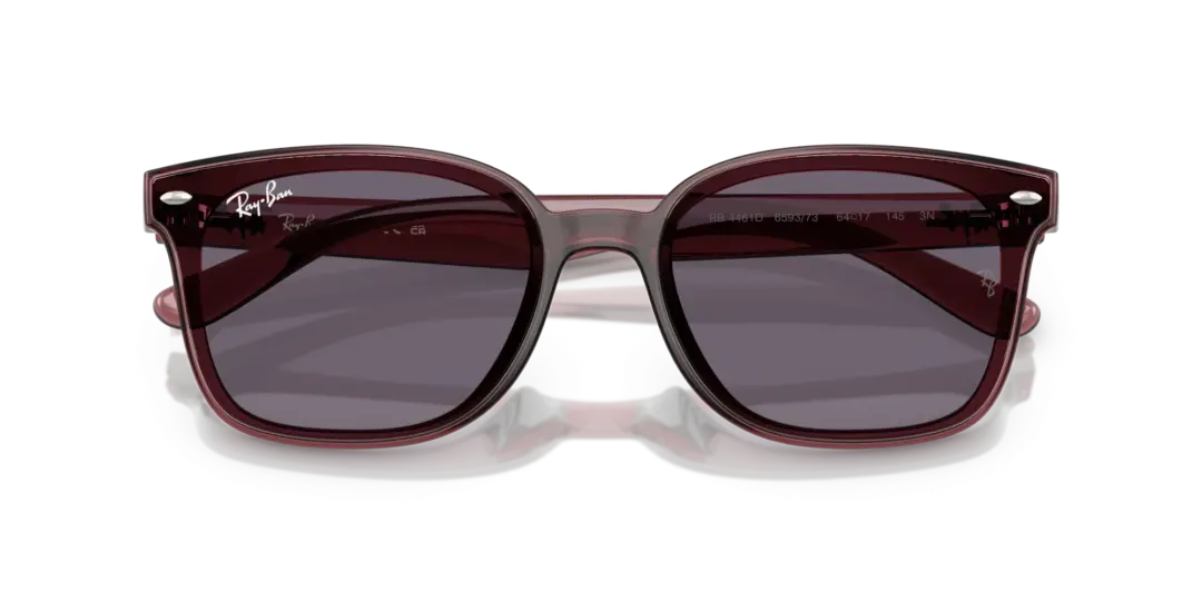 Ray-Ban 0RB4459D 659373