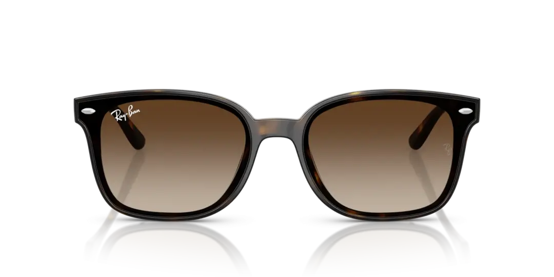 Ray-Ban 0RB4461D 710/13