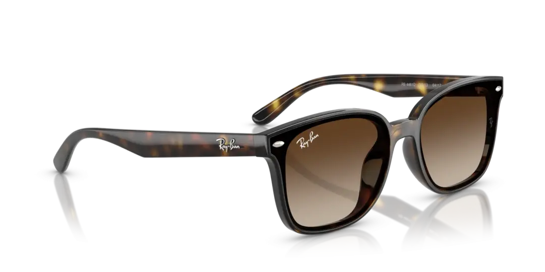 Ray-Ban 0RB4461D 710/13