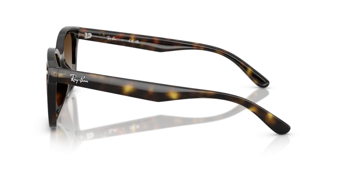 Ray-Ban 0RB4461D 710/13