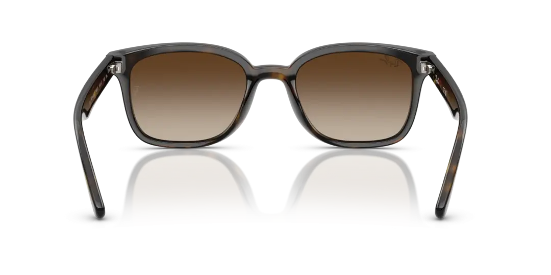 Ray-Ban 0RB4461D 710/13