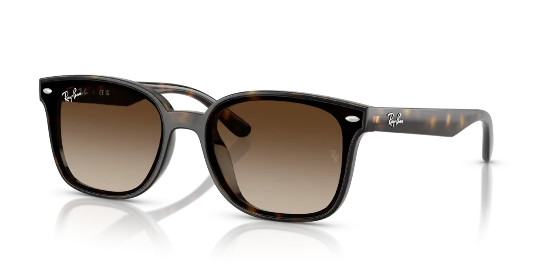 Ray-Ban 0RB4461D 710/13
