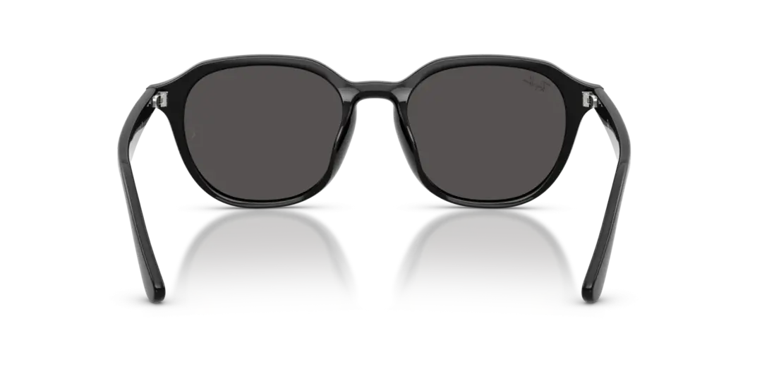 Ray-Ban 0RB4459D 901/87