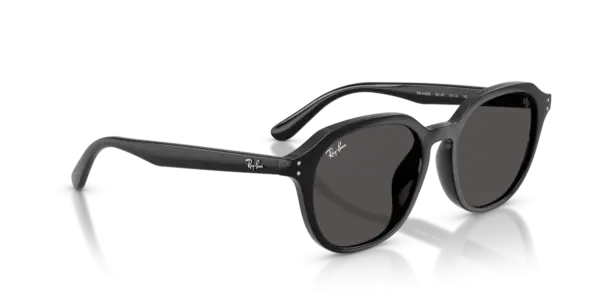 Ray-Ban 0RB4459D 901/87