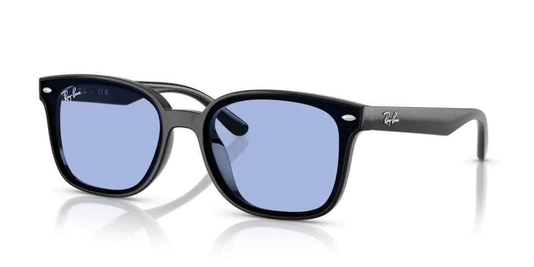 Ray-Ban 0RB4461D 601/80