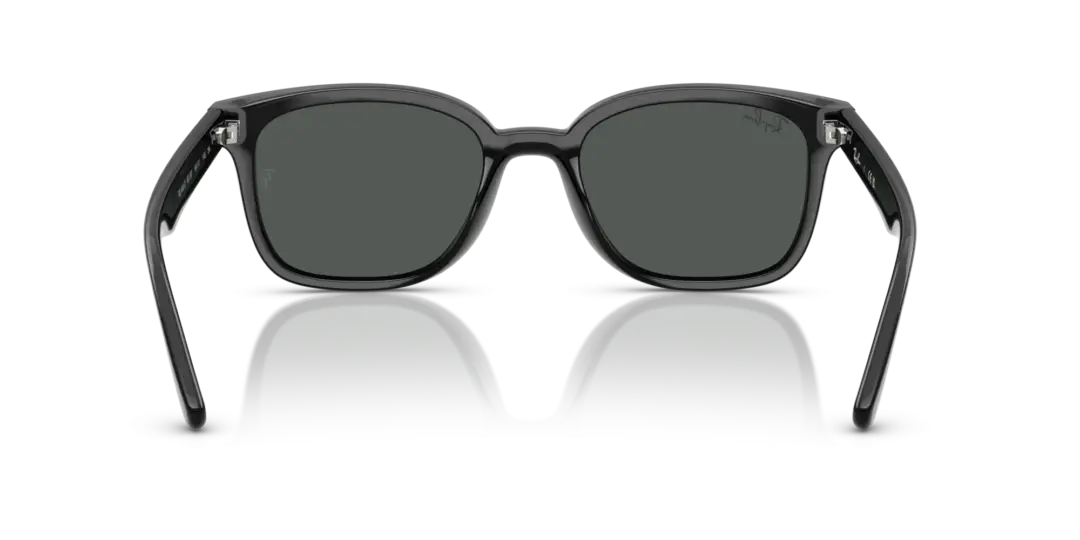 Ray-Ban 0RB4461D 601/87