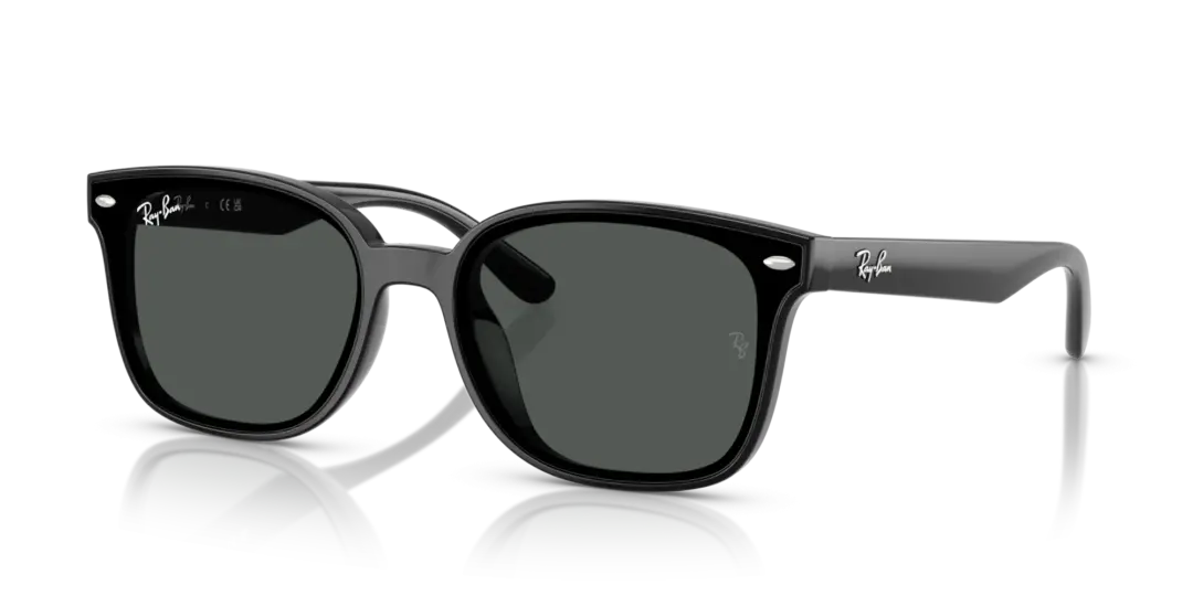 Ray-Ban 0RB4461D 601/87