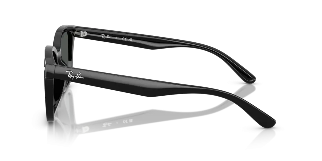 Ray-Ban 0RB4461D 601/87