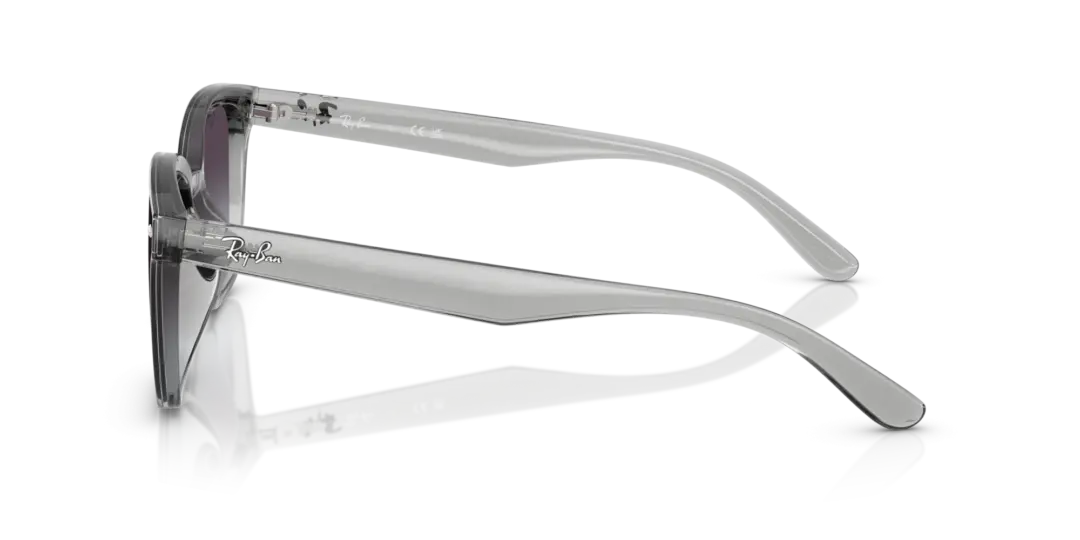 Ray-Ban 0RB4461D 64508G