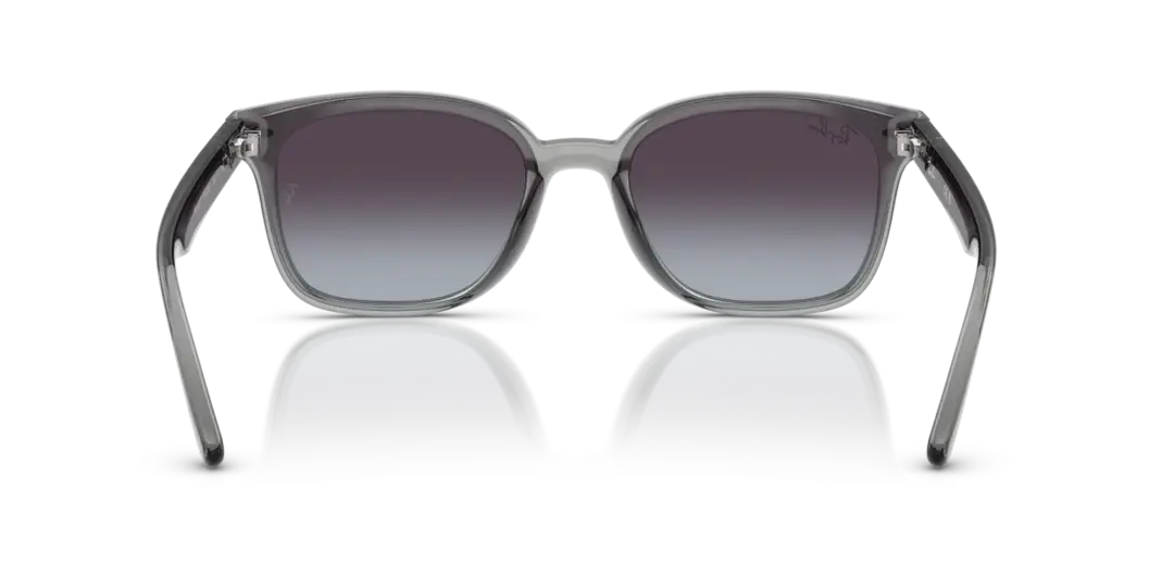 Ray-Ban 0RB4461D 64508G