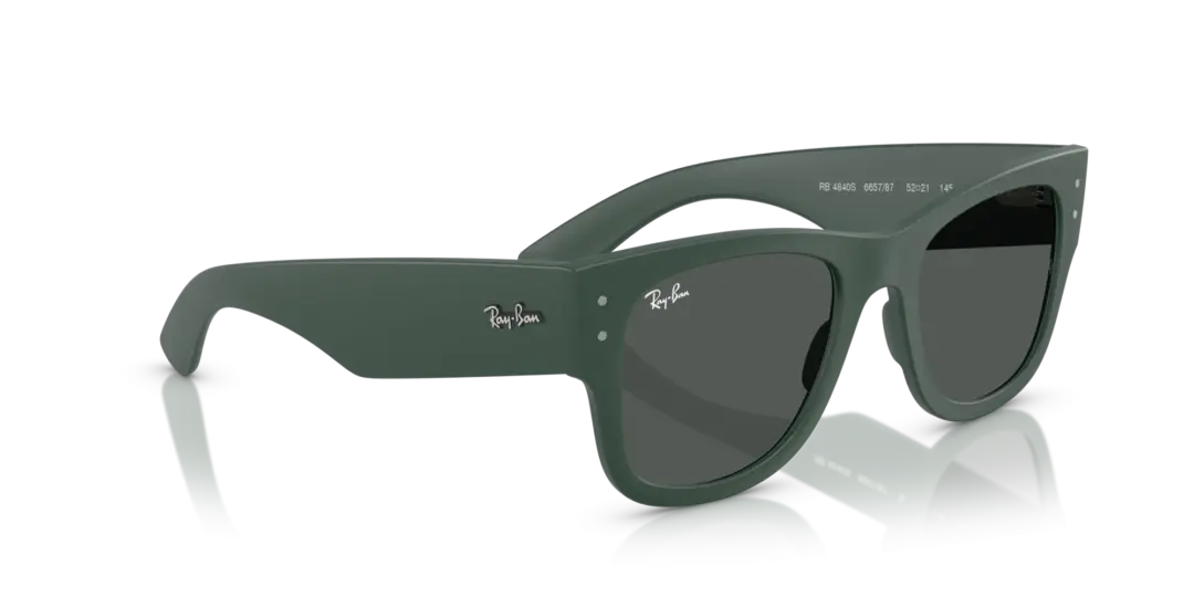 Ray-Ban 0RB4840S 665787