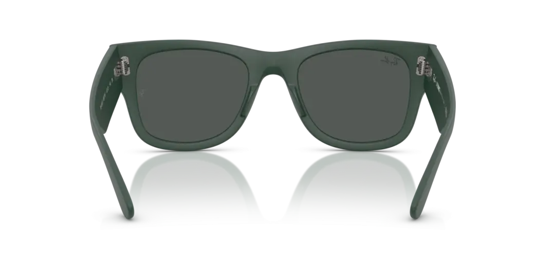 Ray-Ban 0RB4840S 665787